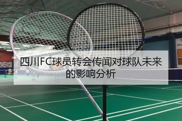 四川FC球员转会传闻对球队未来的影响分析